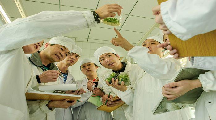 hjc888黄金城苗圃研究中心科研人员观察苗种成长情况